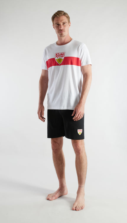 Collection image for: VfB