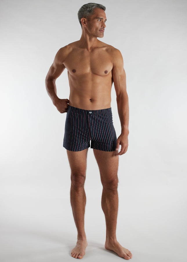 CECEBA men's boxer shorts, blue vertical stripes, pack of 2