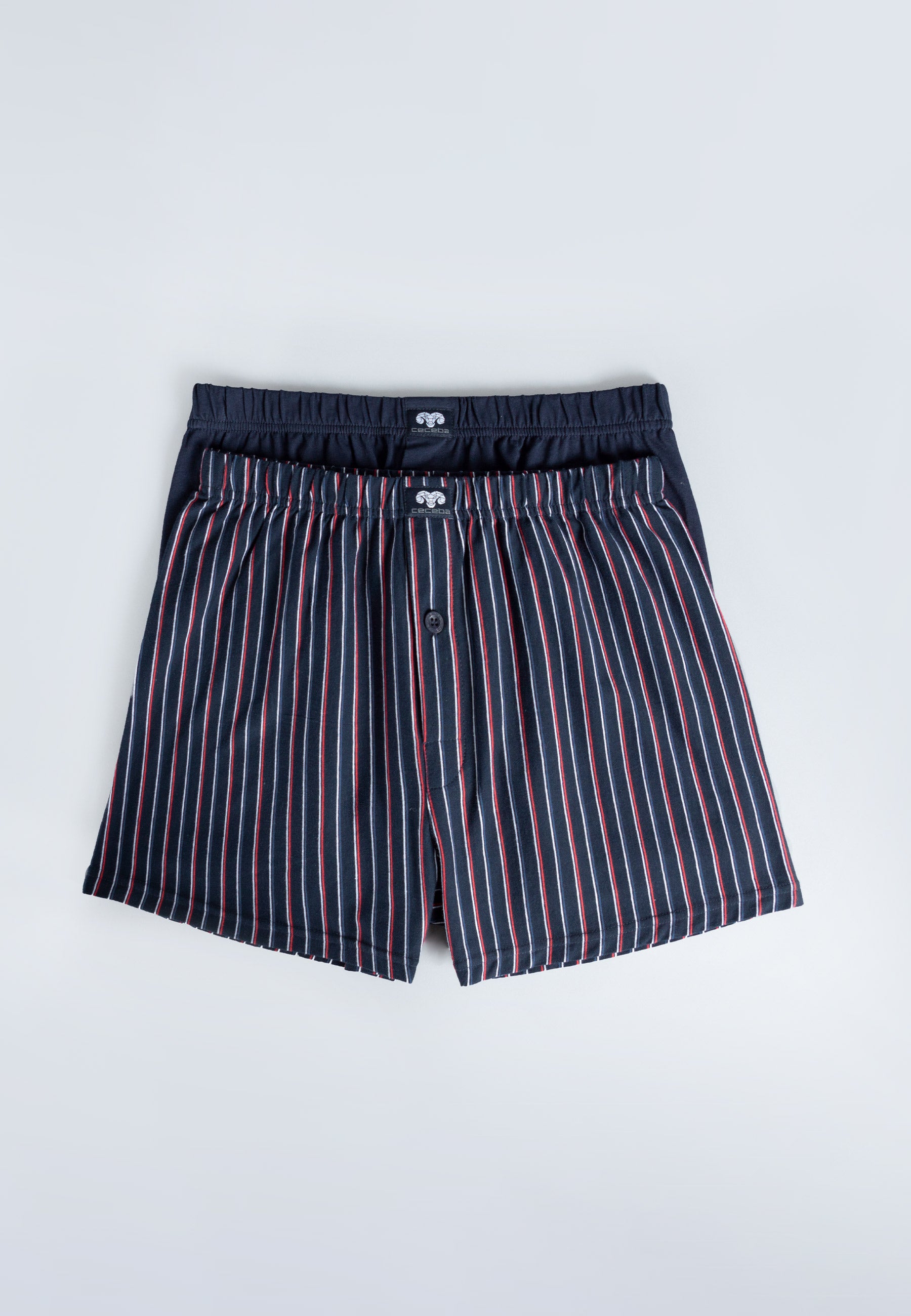CECEBA men's boxer shorts, blue vertical stripes, pack of 2