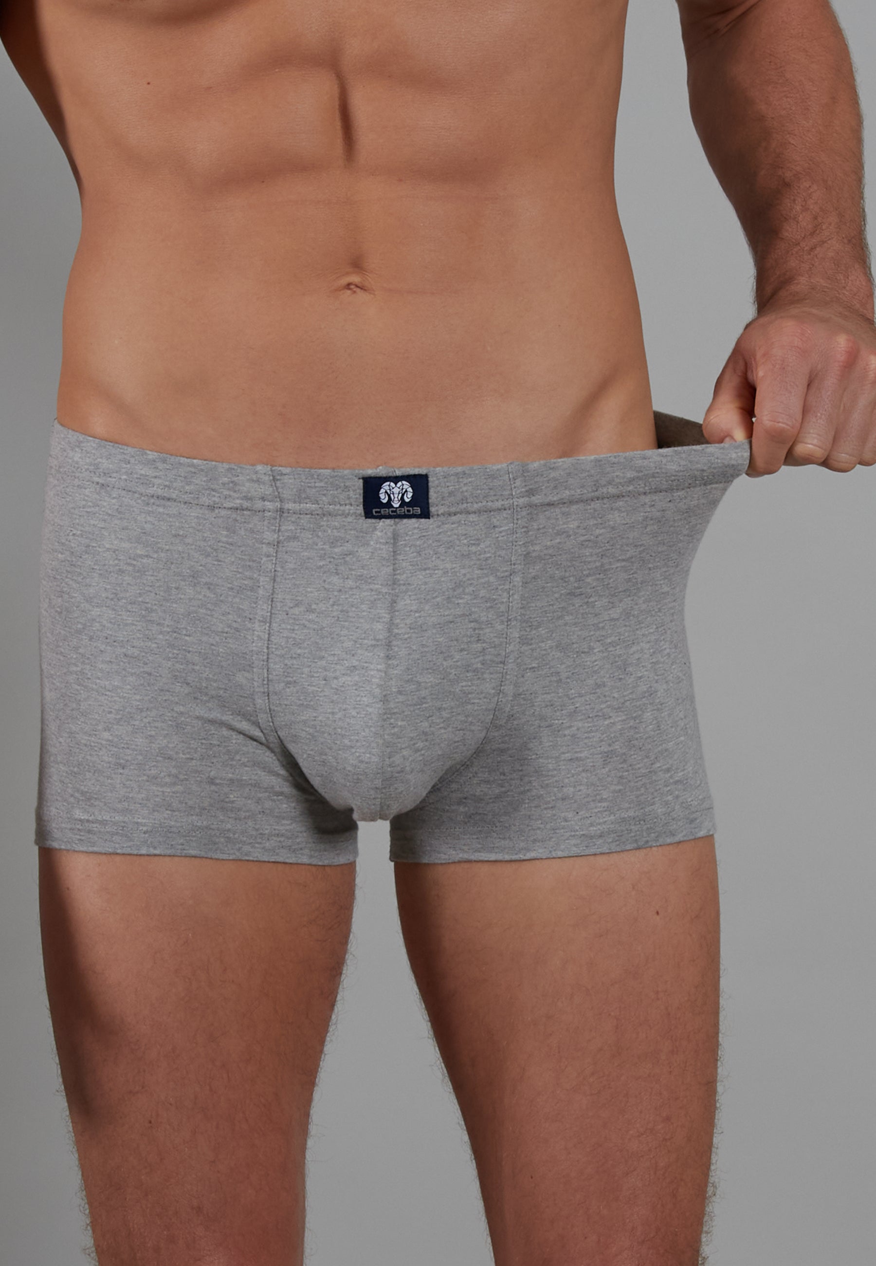 CECEBA Herren Pants grau uni 2er Pack