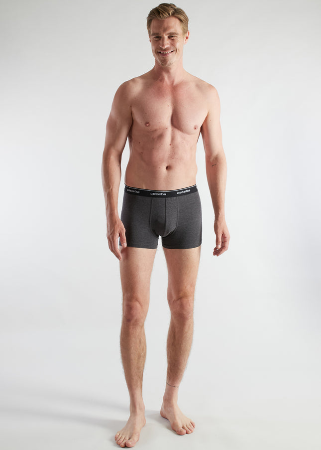 CECEBA Herren Pants grau uni 2er Pack