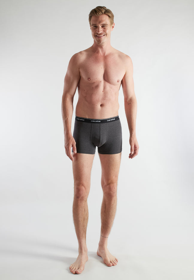 CECEBA Herren Pants grau uni 4er Pack