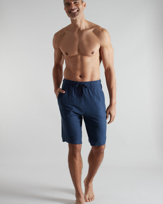 CECEBA Herren Bermuda blau längsgestreift